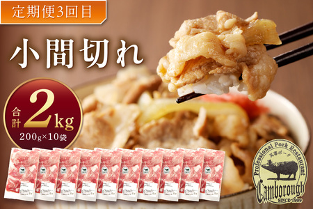 【DLGコンテスト2024金賞受賞】【3か月定期便】ケンボロー芙蓉ポーク おすすめ品3回コース 定期便 3回 豚肉 加工品 ハム ベーコン ウインナー 焼肉 BBQ バーベキュー 島根ポーク 真空パック グルメ 食品 【002_1967】