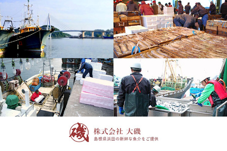 のどぐろ入り 干物4種と西京漬3種セット 魚介類 魚貝類 干物 干もの 一夜干し のどぐろ 鯛 セット 詰め合わせ おかず つまみ 西京漬け 【020_1695】