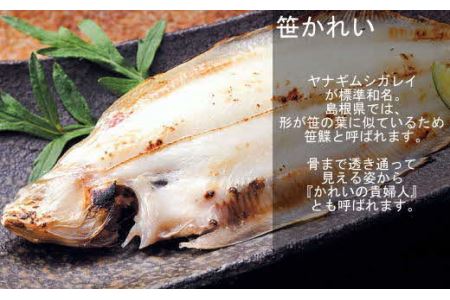 のどぐろ・甘鯛・笹かれい 豪華三魚セット 魚介類 魚 干物 一夜干し おかず つまみ セット 詰め合わせ 【020_1696】