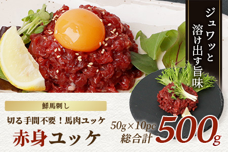 鮮馬刺し赤身ユッケ10個セット 約500g ＜50g×10パック＞ 【 熊本馬刺し 熊本馬肉 新鮮馬刺し 赤身ユッケ 熊本馬刺しユッケ 新鮮赤身ユッケ タレ付きユッケ ユッケセット 新鮮ユッケ 絶品ユッケ 人気馬刺しユッケ 馬肉 馬ユッケ タレ付き 真空パック 線切り 赤身 馬刺し 冷凍 世界的衛生基準 SQF認証取得 送料無料 】 031-0496