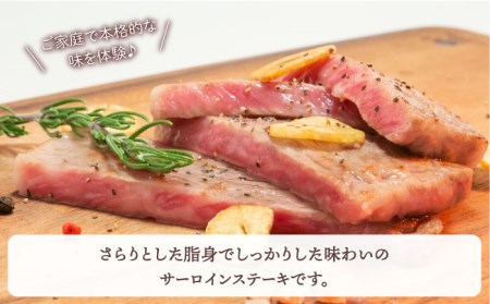 【全6回定期便】【隔月発送】佐賀牛 サーロインステーキ 1.0kg（250g×4枚） [HBH127] 佐賀牛 ステーキ サーロイン