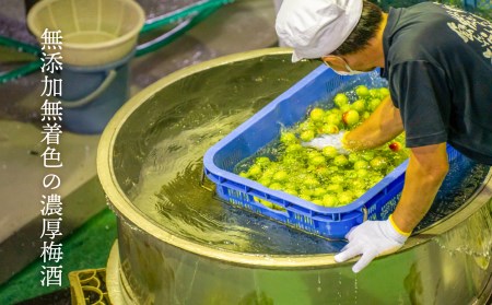 2020年春全国酒類コンクール リキュール部門第1位　熟成梅酒720ml　2本セット　宮崎県高千穂産梅使用  宮崎県高千穂産梅使用 お酒 アルコール 酒 梅 熟成梅酒 リキュール 晩酌 飲み会 宅飲み 家飲み ストレート 水割り 炭酸割り お湯割り お取り寄せ 国産 _Tk023-013