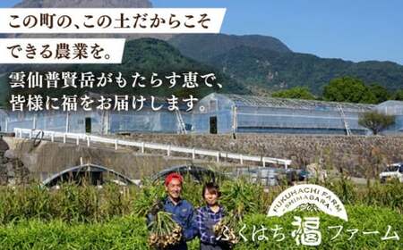 【2026年5月下旬-発送】桃 特別栽培ハウスもも 約1kg 化粧箱入り / 桃 もも モモ フルーツ 果物 旬 / 南島原市 / ふくはちファーム [SBS005]