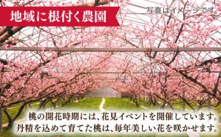 【2026年5月下旬-発送】桃 小玉 ハウス桃 約1.2kg [SBS007]