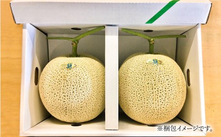【2026年11月中旬-発送】アールス メロン (2玉) / メロン めろん メロン めろん メロン 青肉 果物 フルーツ / 南島原市 / JA島原雲仙東南部基幹センター [SAC004]