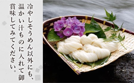 【定期便 6回】手延べ 麺 詰め合わせ 3kg  （50g×60束）  / 島原 手延べ そうめん パスタ 中華めん うどん 麺 / 南島原市 / 池田製麺工房 [SDA024]