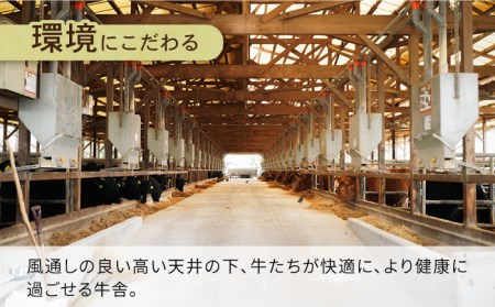 長崎県産和牛 切り落とし 1kg / 肉 牛肉 ぎゅうにく 切り落とし きりおとし 国産 和牛切り落とし 切り落とし和牛 小間切り落とし 小間切れ 冷凍 すき焼き しゃぶしゃぶ 小分け牛肉 焼き肉 焼肉 / 南島原市 / 高田牧場 [SDB004] 
