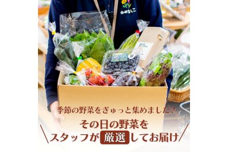 野菜 定期便 卵付き 旬の野菜セット 4人用 【3回】 益子町 AA006
