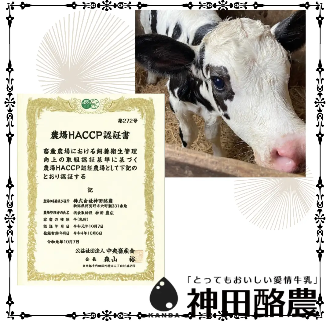 ソフトクリーム「子牛のきもち・ミルク」６個セット 新潟 阿賀野 神田酪農 やすだ愛情牛乳 みるぱす アイス アイスクリーム ミルク スイーツ 冷凍 2K02009
