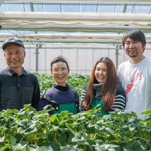 【無添加】秩父の果物・野菜でつくる「手づくりジェラート」8個セット（乳化剤・甘味料・着色料・香料・増粘剤不使用）｜ジェラート
