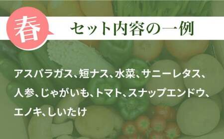 【6回定期便 奇数月コース】野菜 キノコ 果物 11品目 詰め合わせ 野菜 / 吉岡青果 [SCZ005] 