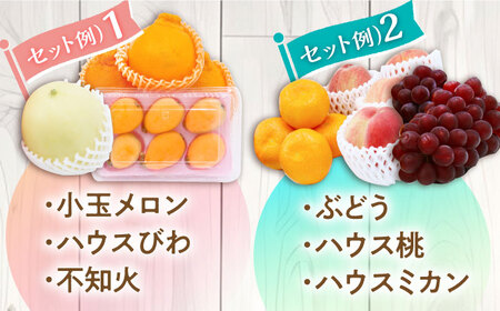 【6回定期便 隔月】フルーツ定期便 [SCZ016] 