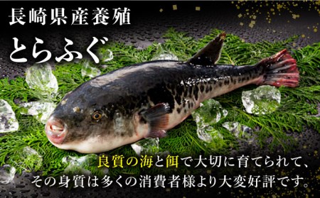 長崎県産 とらふぐ刺身と鍋セット3人前 / ふぐ フグ 河豚 トラフグ ふぐ刺し / 南島原市 / 大和庵 [SCJ007]