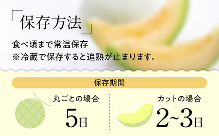 【2027年4月下旬-発送】【根強い人気！】 プリンスメロン 2箱 セット（1箱 7?13玉）  / メロン 南島原市 / 南島原果物屋 [SCV008]