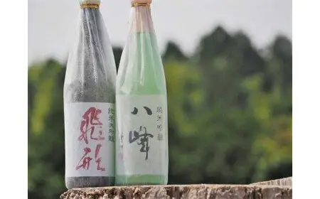＜純米大吟醸＞飛形＜純米吟醸＞八峰【720ml】2本セット 日本酒 お酒 飲み比べ 逸品 福岡県 八女市 015-020