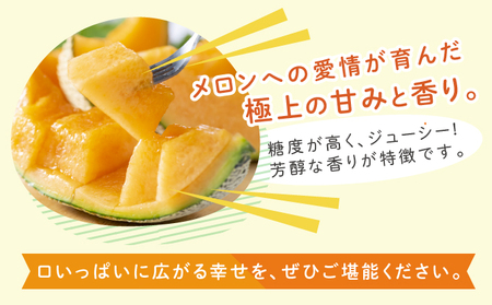 【2026年6月～発送】富良野 赤肉 メロン 4～6玉入 計約8kg 大玉 (相馬農園) メロン フルーツ 果物 北海道