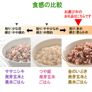 発芽玄米パックご飯 40パック 金のいぶき発芽玄米 黒米 無農薬 発芽玄米 レンジ 有機栽培 パックライス ご飯 米 レンチン 【有機農園ファーミン株式会社】tm117