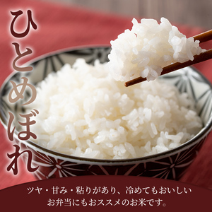 ≪令和7年産≫ ひとめぼれ 玄米 30kg 登米市産 お米 おこめ 米 コメ ご飯 ごはん おにぎり お弁当 【登米ライスサービス株式会社】tm142