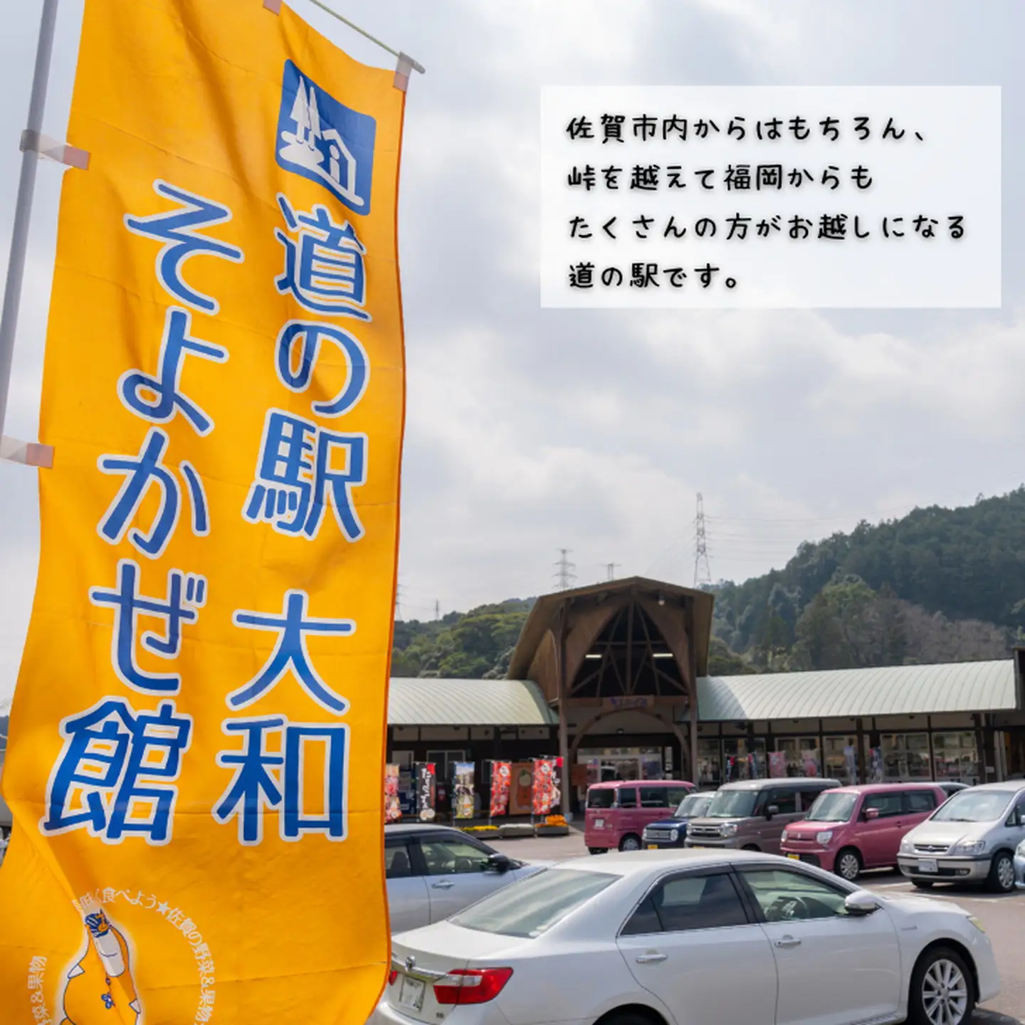 佐賀牛ステーキ＆しゃぶしゃぶセット：B825-001