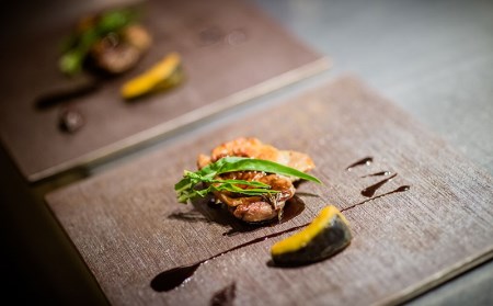 ルカナモトブ　一日一組限定一棟貸切リゾート　（1泊2日食事なし）