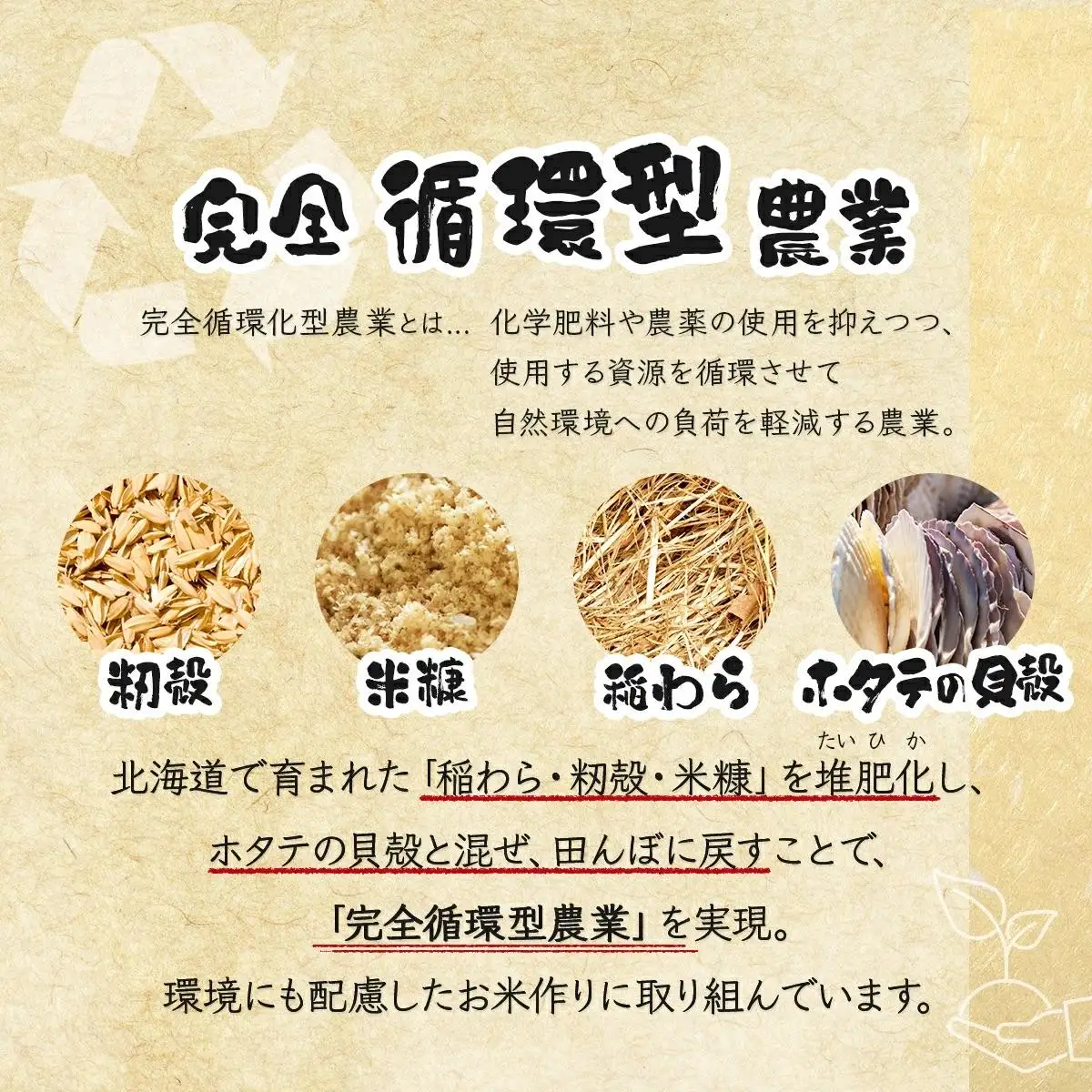 《令和 7 年産》お米 ななつぼし 5kg｜『100%自家生 産精米』善生さんの自慢の米 ※一括発送 北海道 岩見沢市【06119】