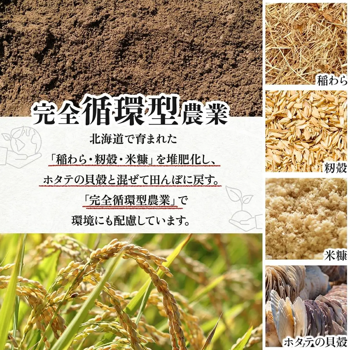《令和 7 年産》お米 ゆめぴりか 5kg｜『100%自家生産精 米』善生さんの自慢の米 ※一括発送 北海道 岩見沢市【06123】 