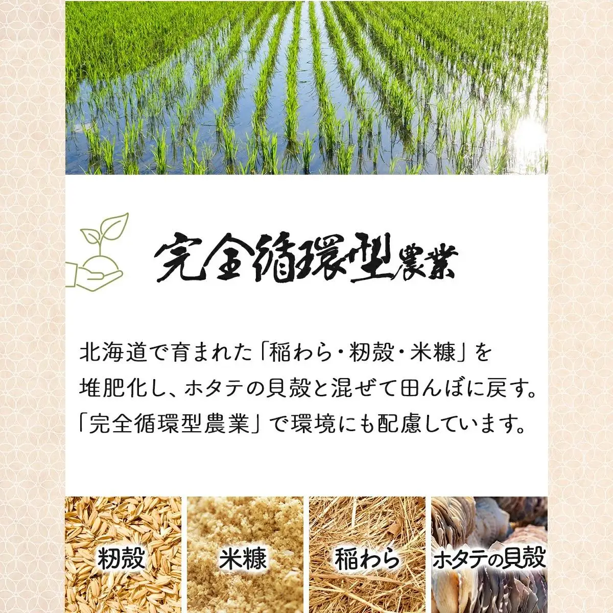 《令和7年産！》『100%自家生産玄米』善生さんの自慢の米 玄米ゆめぴりか５kg※一括発送【06124】 
