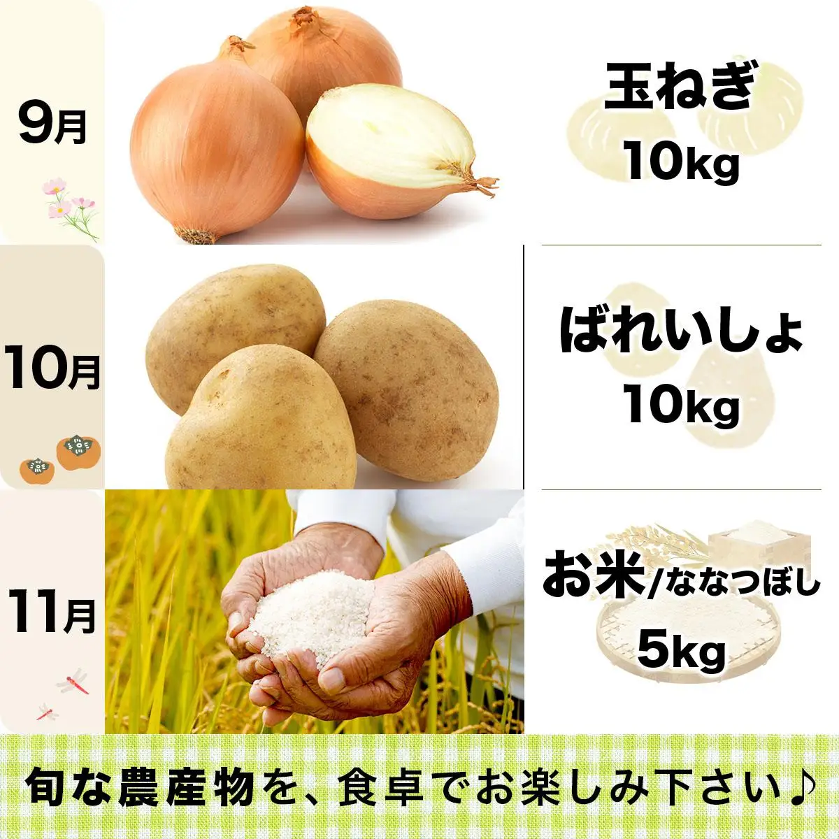 ＜先行予約＞いわみざわの新鮮農産物セット(5or6月～11月 全6回)※定期便【11106】