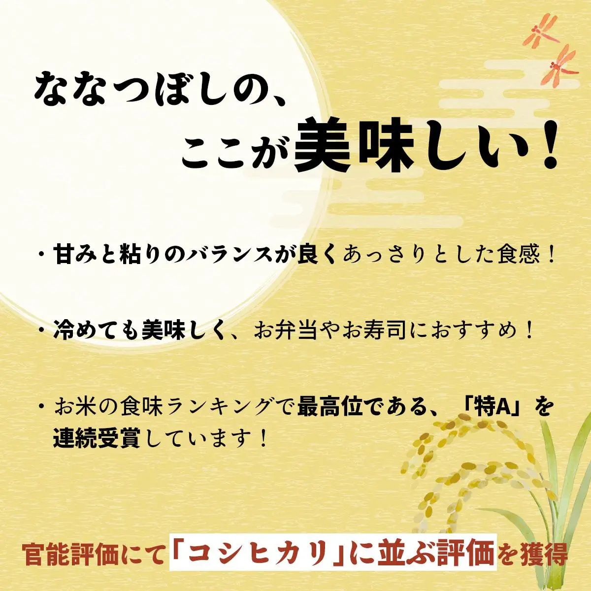 令和7年産！ 岩見沢産 特別栽培米 峯さんの「ななつぼし」 5kg【29101】