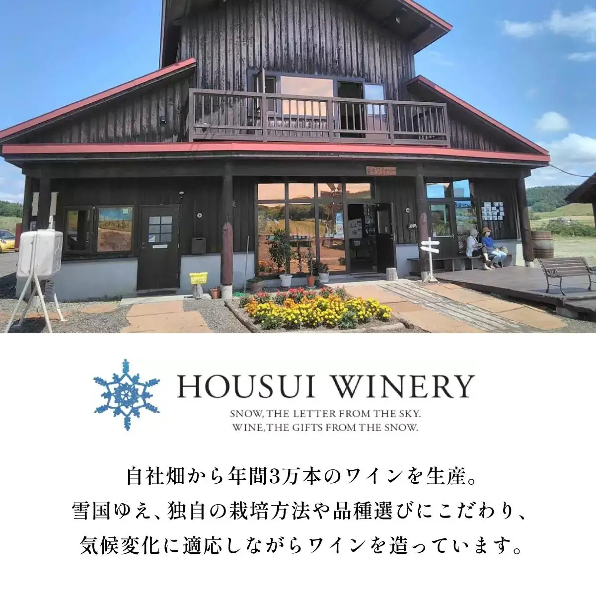 北海道岩見沢市の風土を生かした宝水ワイナリー「雪の系譜」ワイン２本セット（赤・白）【31103】