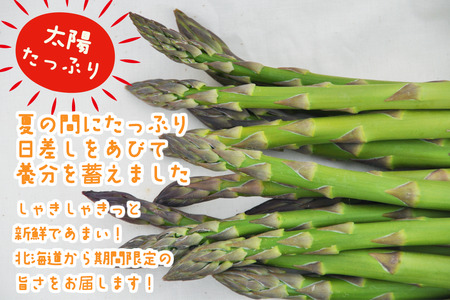 【令和8年産先行受付】上田ファームのグリーンアスパラガス　1kg《数量限定》