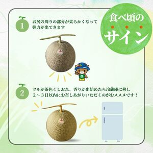 【2026年7月中旬から発送】とままえメロン 1玉 1.6kg前後 大玉サイズ 北海道産 先行 予約 受付 赤肉 甘い 糖度14度 旬 産地直送 めろん フルーツ 果物 デザート 北海道 苫前町 とままえ rum08