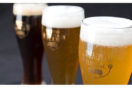 クラフトビール × おつまみ セット 【 しもつまビール 3種×1本330ml  チョリソー ホルモン 】