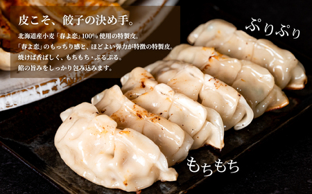 餃子 120個 ブランド豚 ローズポーク 餃子