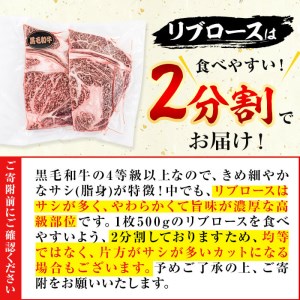 黒毛和牛 ステーキ 肉 高級部位 2種＜リブロース・サーロイン＞ 食べ比べ (計900g) b8-045