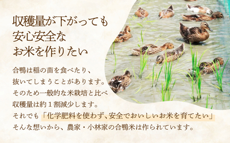 こしひかり 白米 5キロ  2週間以内発送 オーガニック あいがも 有機米 農薬 ・化学肥料不使用 合鴨常陸青龍米