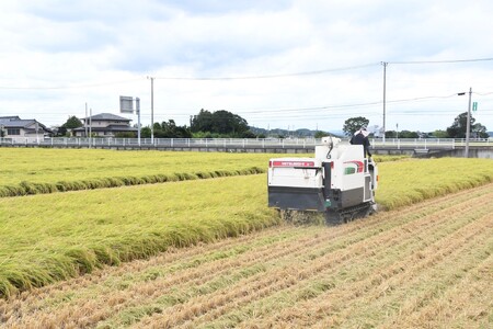 【米】定期便 令和7年産 米 コシヒカリ10kg（全3回）