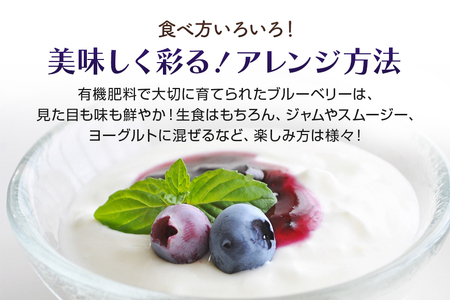 【数量限定】朝採り生ブルーベリー 800g（100g×8） 9-H 【6月中旬～7月以降発送予定】