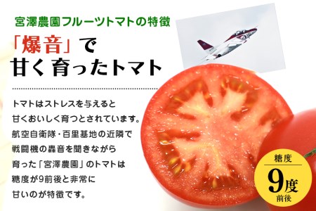 【数量限定 先行予約】＜2027年1月出荷開始予定＞ 爆音トマトと呼ばれるフルーツトマト「百里百」 2kg 甘い 酸味 肉厚 大玉 産地直送 とまと 健康 リコピン 百里基地 戦闘機 国産 茨城県 小美玉市 直売所 水耕栽培 野菜 やさい 一人暮らし 13-E