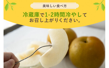 【数量限定 / 夏季限定】 梨（幸水） 約5kg 梨 なし ナシ 日本梨 こうすい コウスイ 17-C 【8月中旬～下旬発送予定】