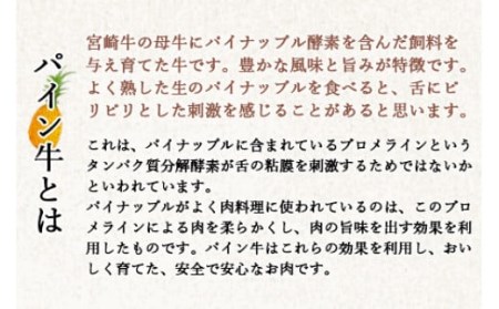 ＜パイン牛切り落とし 500g×2＞翌月末迄に順次出荷【c823_yu_x3】