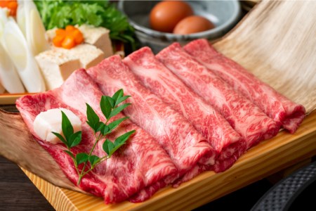 訳あり 博多和牛 A4以上 しゃぶしゃぶ すき焼き スライス 250g & 切り落とし 500g 計750g【部位おまかせ】/ MEAT PLUS / 福岡県 筑紫野市 [21760211]