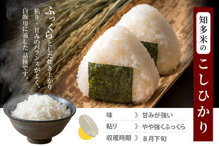 知多米 こしひかり5kg お米 白米 うるち米 おこめ 国産 精米 ご飯 おにぎり 朝ごはん ライス 和食 日本食 主食 食卓 お弁当 コシヒカリ 甘み 粘り 知多半島 お取り寄せ 5キロ 愛知県 知多市 特産品