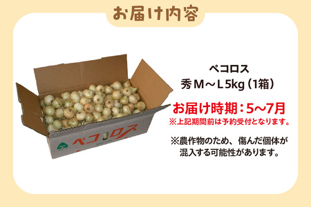 ★先行予約★知多ペコロス ミニ玉ねぎ タマネギ たまねぎ ペコロス 野菜 特産 愛知県 知多市
