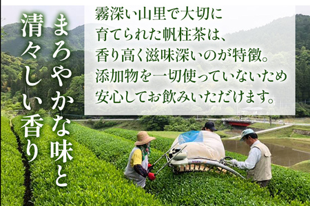 ＜銘茶みやこ町特産・帆柱茶＞白折（200g×3袋）福岡県 お茶 日本茶 緑茶 お土産 伝統 茶葉