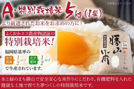 令和7年産 夢つくし 勝山米 種類を選べる ＜特別栽培 勝山米5kg＞ 福岡県産 特別栽培米