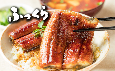 うなぎ 蒲焼き 白焼き 食べ比べセット 400g (200g×各1尾) 