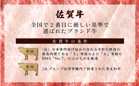 佐賀牛サーロインステーキ 500g (250g×2枚)