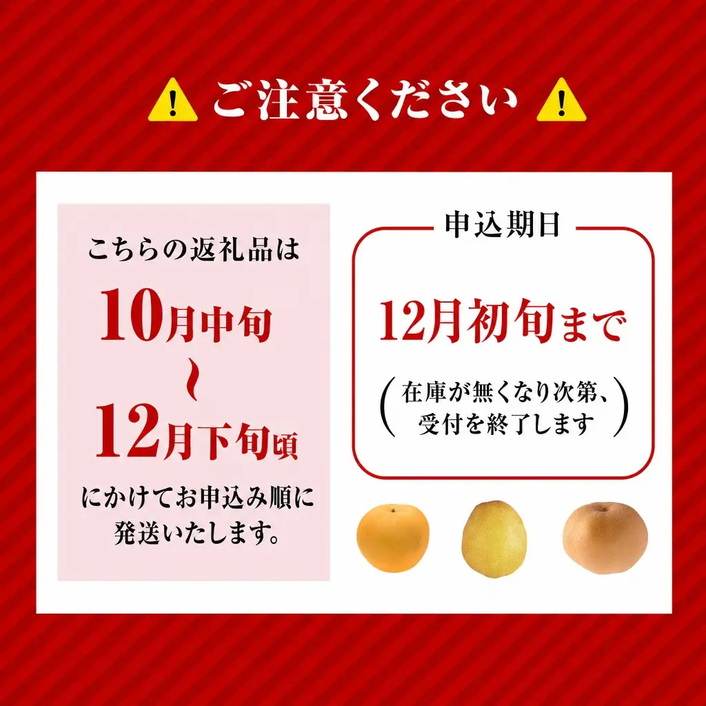 【2026年産】先行予約 梨 晩生梨 （ 新興梨 王秋梨 愛宕梨 のいずれか ） 3kg 5～9玉 【令和8年10月中旬以降発送予定】 フルーツ 果物  12-06