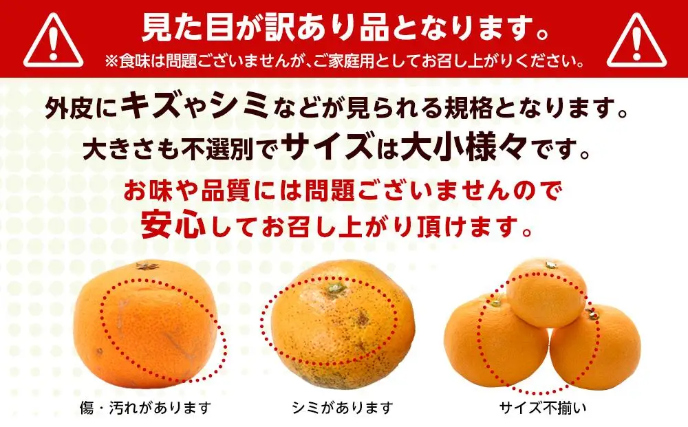 和歌山県産 糖度12.5度 以上 訳ありみかん5kg 3S ～ Lサイズ混合【NY5】